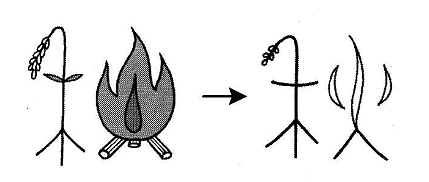 hoc-kanji-bang-hinh-anh-bai-13-2-1