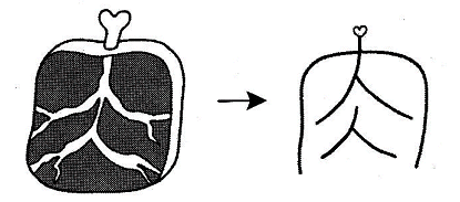 hoc-kanji-bang-hinh-anh-bai-38-3