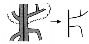 hoc-kanji-bang-hinh-anh-bai-44-5