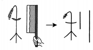 hoc-kanji-bang-hinh-anh-bai-46-3