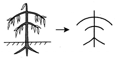 hoc-kanji-bang-hinh-anh-bai-70-1-1